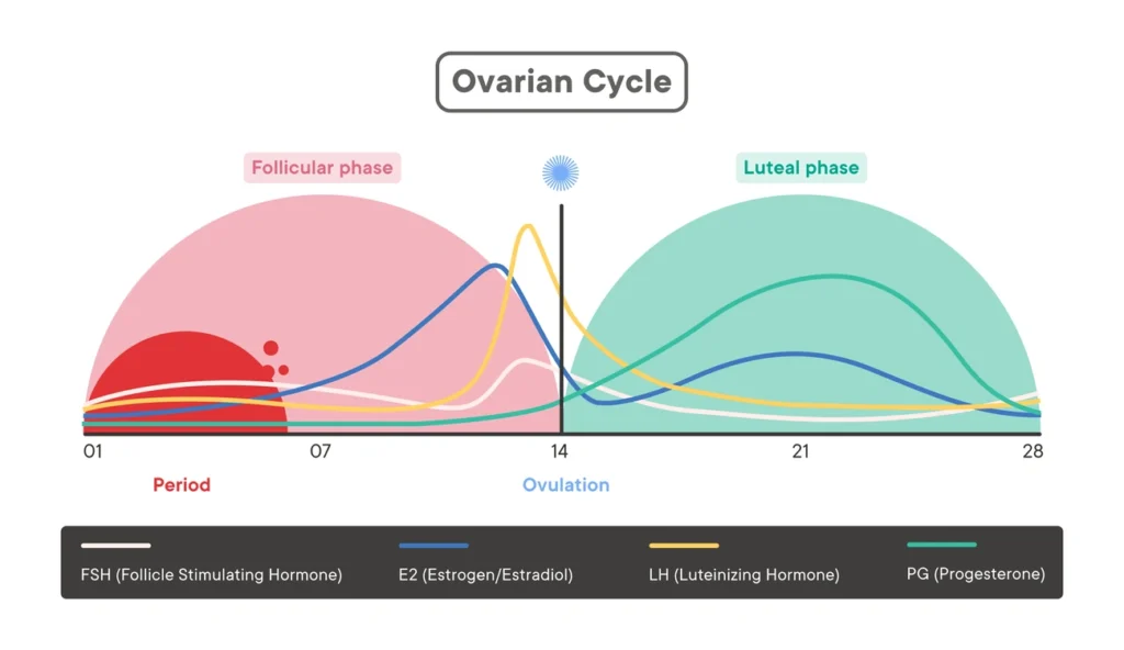How vaginal flora and pH play a role